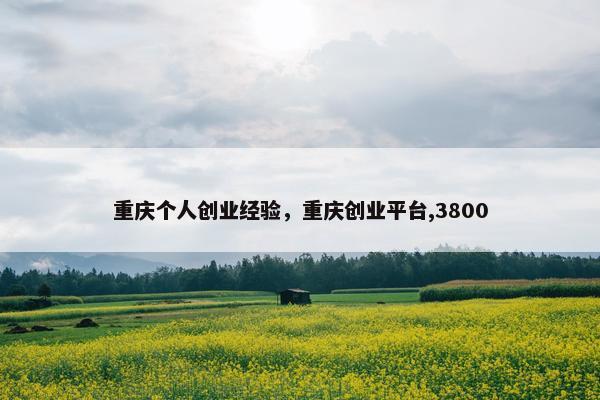重庆个人创业经验，重庆创业平台,3800
